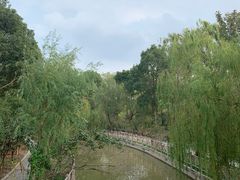 -南汇桃花村