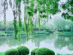 -长春市南湖公园