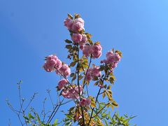 -三国赤壁古战场