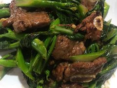 -东鸽皇(奥园·中环广场店)