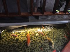 -尺山寸水日料(马桥满天星店)