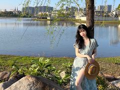 -九龙湖公园