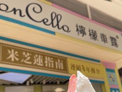 -柠檬车露(卖草地店)