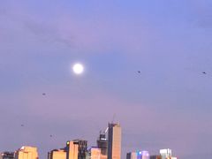 -海心沙亚运公园