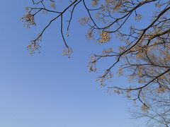 -汉长安城未央宫国家考古遗址公园