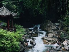 -西岭雪山大飞水景区