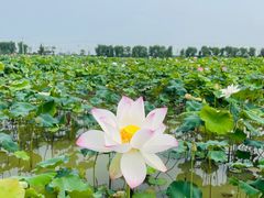 -涵家味土菜馆·徽州一绝臭鳜鱼(三河古镇店)