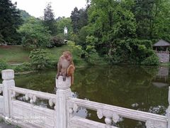-黔灵山公园