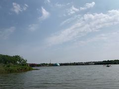 -上海都市菜园