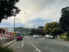 -Dooley's Premium Ice Cream