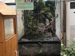-上海大自然野生昆虫馆(东方明珠·爬宠昆虫探索中心)