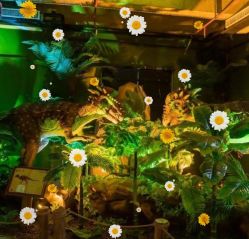 -恐龙探索乐园(磁器口店)