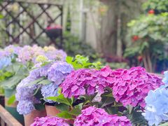 -欧洲房子(宜必思店)