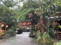 -青城甲(青城山店)