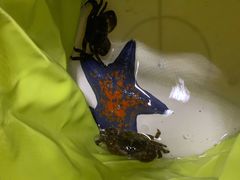 -青岛得宝湾维景国际大酒店(五四广场奥帆中心店)