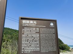 -东郊椰林