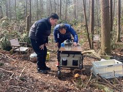 -青龙山国家森林公园