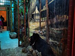 -北京动物园-畅观楼