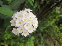 -广州神农草堂中医药博物馆