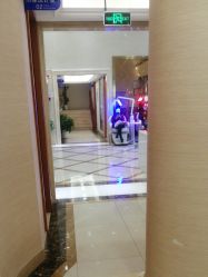-碧莲盛·不剃发植发