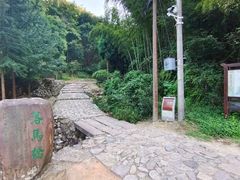 -仙霞关景区