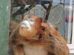 -大连森林动物园