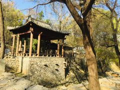 -井塘古村