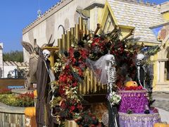 -大连海昌发现王国主题公园