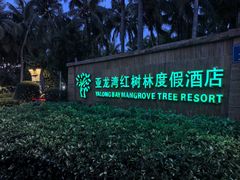 -三亚亚龙湾红树林度假酒店