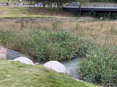 -两河城市森林公园