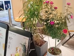 -森茶(湛江万达店)