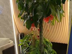 -尚荟汤泉生活馆