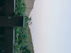 -九曜山