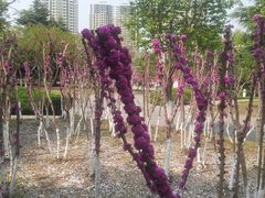 -白塘生态植物园