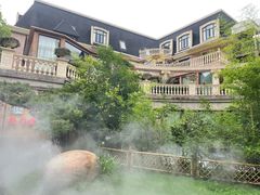 -叶叶菩提(太原别墅店)