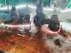 -邛海景风火盆烧烤(大石板古村二分店)