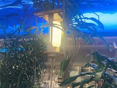 -桂满陇·蟹黄小笼汤包(清河万象店)