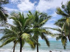 -三亚南山文化旅游区