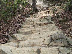 -梧桐山风景名胜区