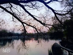 -达活泉公园