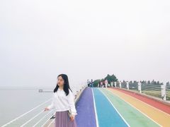 -贡湖湾湿地公园
