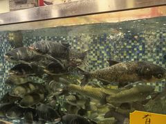 -顺德一品粥·20年凤城老字号(芳村店)