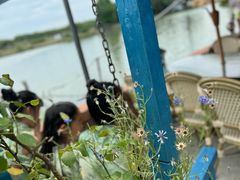 -水岸居湖景农家乐·阳澄湖大闸蟹