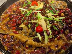 -老板恋上鱼(恒隆广场店)