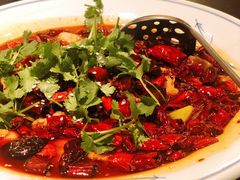 馋嘴牛蛙-新南华大酒店(广中店)