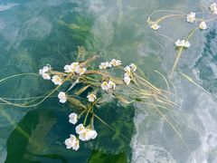 -丽江泸沽湖景区