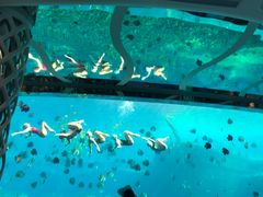 -瑞德姆美人鱼海底演艺主题餐厅(亚龙湾店)
