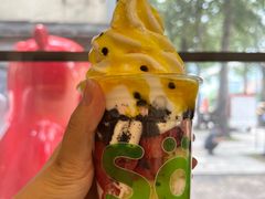 -Salud撒露欧洲冻酸奶(798艺术区店)