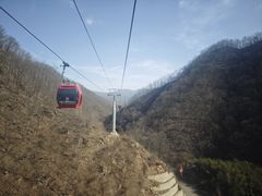 -栾川竹海野生动物园