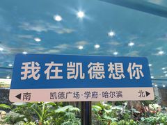 -凯德广场(学府店)